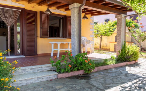 Remo: Legna, Porta, Vaso Di Fiori, Shade, Color Legno, Pianta Della Casa, Giardino, Portico, Terrazza, Struttura Esterna