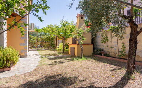 Remo: Parete, Arbusto, Giardino, Vaso Di Fiori, Backyard, Shade, Landscaping, Pianta Della Casa, Cortile, Flagstone