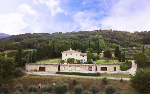 Terra Quercus: Paesaggio, Area Rurale, Estate, Insediamento Umano, Casa, Villetta, Villaggio, Agriturismo, Foresta, Hill Station