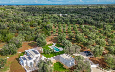 Trullo Brenda: Albero, Visione Globale, Paesaggio, Fotografia Aerea, Plain, Lotto, Estate, Piantagione, Landscaping, Parco