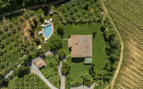 Podere Monti: Paesaggio, Lotto, Area Rurale, Plain, Estate, Giardino, Piantagione, Prato, Landscaping, Visione Globale