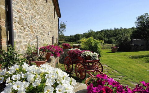 Mulino della Villa: Fiore, Arbusto, Giardino, Rosa, Primavera, Landscaping, Vaso Di Fiori, Fiorai, Cortile, Pianta Della Casa
