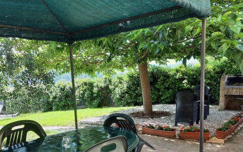 Il Bosco: Shade, Baldacchino, Giardino, Gazebo, Mobili Da Esterno, Struttura Esterna, Backyard, Tavolo Esterno, Padiglione, Landscaping