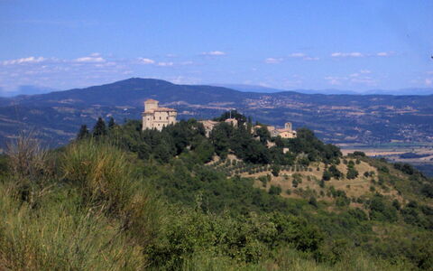 Borgo di Fighine: Albero, Natura, Vegetazione, Collina, Paesaggio, Highland, Pascolo, Comunita 'Impianto, Area Rurale, Hill Station