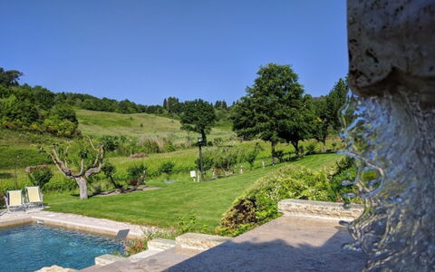 Podere della Bruciata: Arbusto, Giardino, Landscaping, Backyard, Piscina, Giardino Botanico, Piantagione, Giochi D'Acqua, Sempreverde