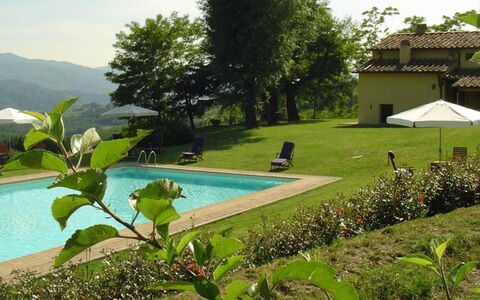 Magnolia e Camelia: Agriturismo, Eco Hotel, Mobili Da Esterno, Piscina, Cortile, Villa, Hacienda, Backyard