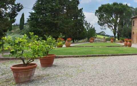Il Tinaio: Arbusto, Giardino, Vaso Di Fiori, Landscaping, Flagstone, Passerella, Cortile, Prato, Hacienda