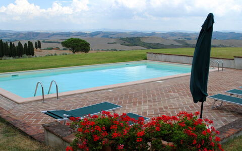 Il Tinaio: Piscina, Zona Residenziale, Estate, Hacienda, Agriturismo, Villa, Ricorrere, Cortile, Landscaping, Cortile