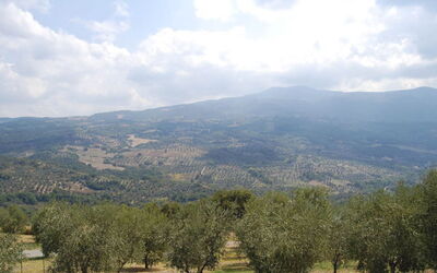 Poggio Aperto