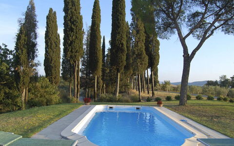 Santo Stefano: Piscina, Giardino, Landscaping, Estate, Backyard, Shade, Villa, Sempreverde, Hacienda