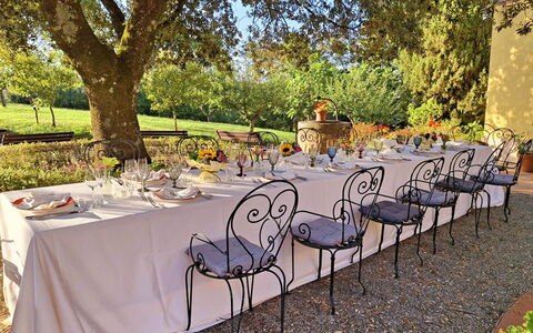 La Palazzina: Mobilia, Tavolo, Tovaglia, Sedia, Tavolo Esterno, Giardino, Mobili Da Esterno, Biancheria, Ristorante