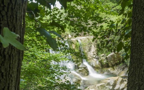 Mulino della Frateria: Risorse Idriche, Acqua, Corpo D'Acqua, Natura, Ambiente Naturale, Paesaggio Naturale, Ramo, Stream, Alveo, Vegetazione