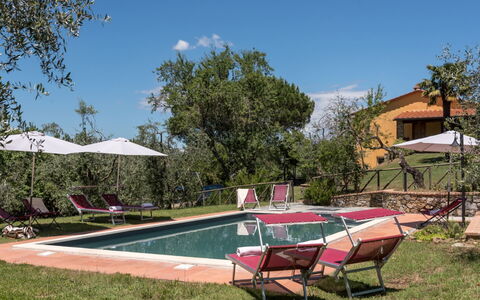 Bellaria: Estate, Hacienda, Backyard, Mobili Da Esterno, Villa, Giardino, Agriturismo, Cortile, Piscina, Landscaping
