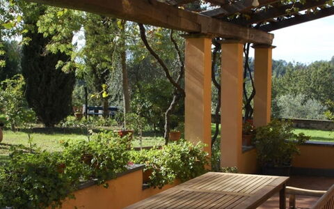 Podere Torre: Legna, Arbusto, Giardino, Comunita 'Impianto, Shade, Groundcover, Backyard, Struttura Esterna, Landscaping