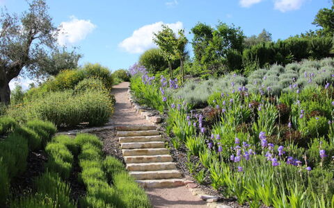 Villa del Cammino: Vegetazione, Arbusto, Giardino, Paesaggio, Comunita 'Impianto, Groundcover, Primavera, Giardino Botanico, Trail