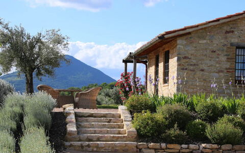 Villa del Cammino: Parete, Arbusto, Paesaggio, Area Rurale, Villetta, Comunita 'Impianto, Lotto, Muro ​​Di Pietra, Giardino