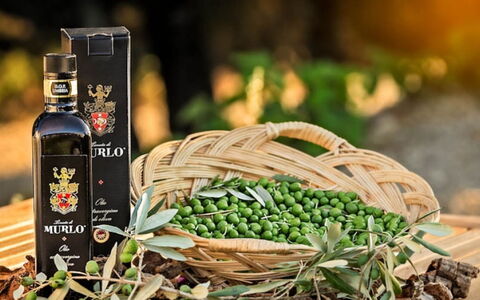 Villa Santa: Bottiglia, Vino, Bottiglia Di Vetro, Cibo, Produrre, Natural Foods