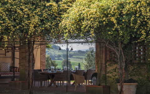 Villa Moscato: Giardino, Shade, Pianta Della Casa, Backyard, Vaso Di Fiori