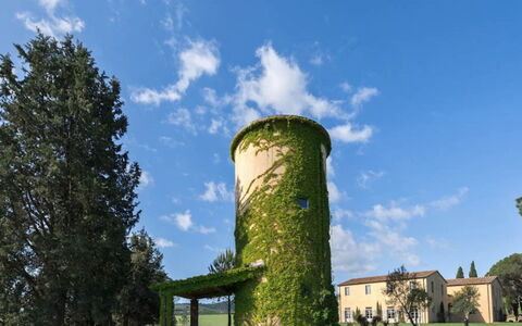 Villa Il Serraglio: Erba, Arbusto, Lotto, Campo, Giardino, Prato, Prato, Landscaping, Estate, Piantagione