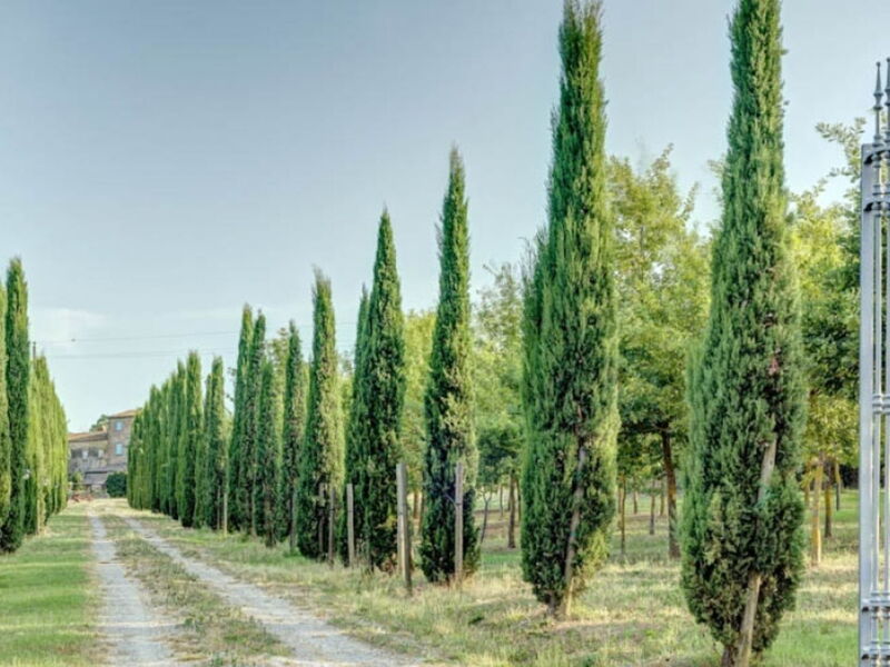 Fattoria Gli Ziri