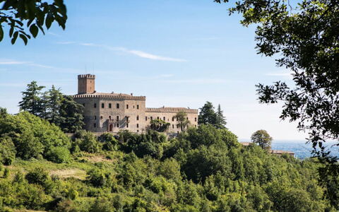 Cascina Tabia: Paesaggio, Architettura, Lotto, Castello, Area Rurale, Estate, Palazzo, Attrazione Turistica, Architettura Medievale