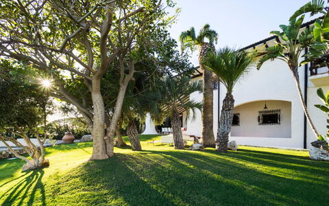 Villa Luna Blu: Albero, Architettura, Shade, Giardino, Estate, Landscaping, Hacienda, Ricorrere