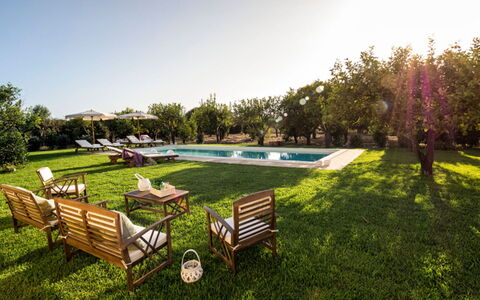 Villa del Sirio: Giardino, Mobili Da Esterno, Prato, Tempo Libero, Landscaping, Ricorrere, Shade, Parco, Estate, Piscina