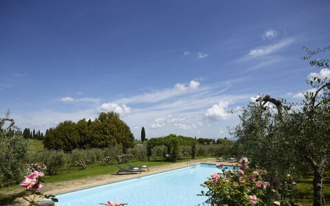 Villa del Riccio: Arbusto, Giardino, Estate, Landscaping, Hacienda, Villa, Piscina, Piantagione, Cortile, Agriturismo