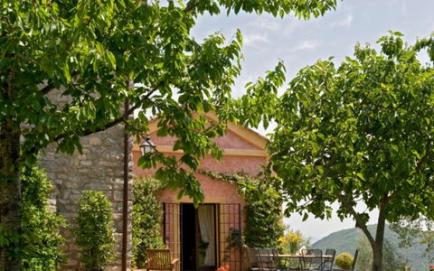 Villa Savino: Foglia, Arbusto, Primavera, Giardino, Shade, Piantagione