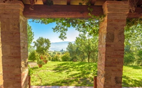 Podere Contignano: Paesaggio Naturale, Lotto, Giardino, Prato, Landscaping, Prato, Brick, Colonna, Piantagione, Backyard