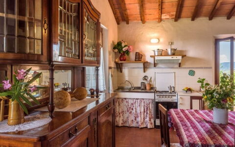 Podere del Mezzadro: Mobilia, Legna, Interior Design, Pavimentazione, Tavolo, Casa, Cabinetry, Cucina & Sala Da Pranzo Tavolo, Camera, Cucina