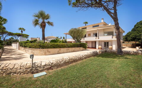 Villa delle Palme: Zona Residenziale, Casa, Estate, Dimora, Landscaping, Giardino, Hacienda, Balcone, Villa