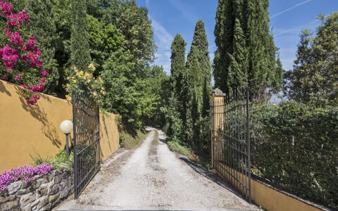 Villa Lucente: Foglia, Vegetazione, Arbusto, Giardino, Landscaping, Driveway, Sempreverde, Trail, Larice