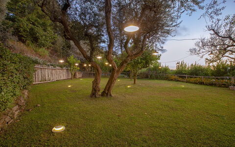 Villa Liliana: Natura, Ramo, Paesaggio, Giardino, Prato, Backyard, Landscaping, Notte, Cortile, Paesaggio Di Illuminazione