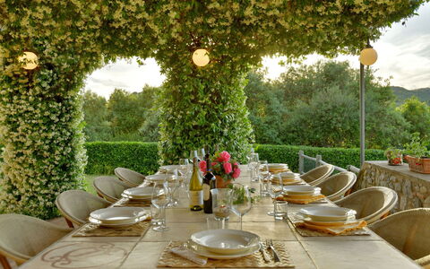 Villa Anima: Mobilia, Tavolo, Tavola, Tavolo Esterno, Giardino, Tovaglia, Sedia, Mobili Da Esterno, Ristorante, Cucina & Sala Da Pranzo Tavolo