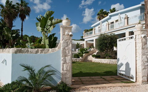 Villa Teresa: Estate, Shade, Hacienda, Dimora, Ricorrere, Landscaping, Villa, Calcestruzzo, Giardino