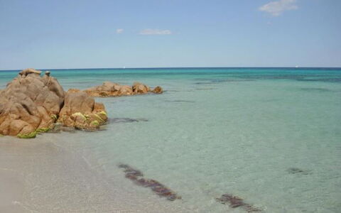 Apartments In Golfo Orosei: Blu, Costa, Mare, Spiaggia, Costiera E Morfologie Oceanic, Riva, Oceano, Wind Wave, Sabbia