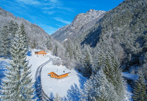 Baita Piciola: Albero, Geografia Montane, Montagna, Casa, Villetta, Casa, Catena Montuosa, Foresta, Hill Station