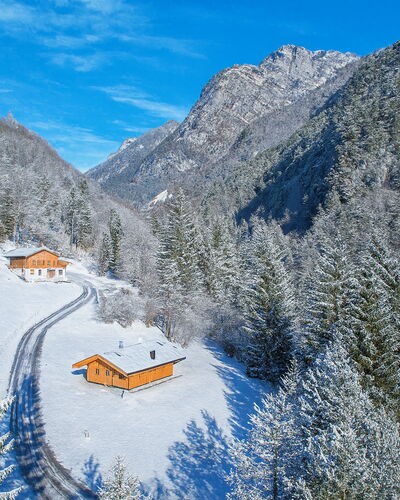 Baita Piciola: Albero, Geografia Montane, Montagna, Casa, Villetta, Casa, Catena Montuosa, Foresta, Hill Station