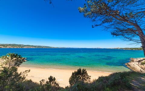 Baia Bianca Apartments Sardinia: Blu, Acqua, Corpo D'Acqua, Ambiente Naturale, Costa, Spiaggia, Costiera E Morfologie Oceanic, Orizzonte, Paesaggio Naturale, Mare