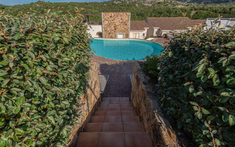 Baia Bianca Apartments Sardinia: Arbusto, Giardino, Muro ​​Di Pietra, Hedge, Landscaping, Backyard
