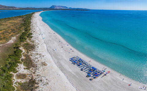 San Teodoro Apartments: Blu, Spiaggia, Costa, Mare, Costiera E Morfologie Oceanic, Riva, Oceano, Attrazione Turistica, Baia, Caraibico