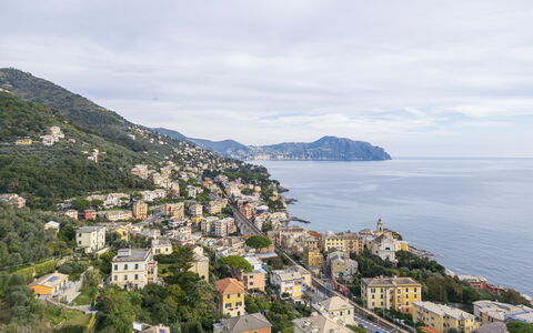 Casa Annalù With Garden, Wifi, Bogliasco: Geografia Montane, Costa, Zona Residenziale, Città, Costiera E Morfologie Oceanic, Montagna, Collina, Mare, Insediamento Umano, Terreno