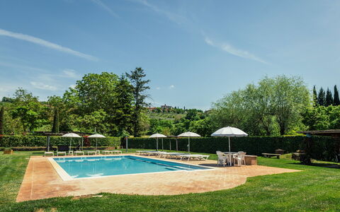 Il Noceto: Albero, Piscina, Arbusto, Ricorrere, Giardino, Eco Hotel, Landscaping, Shade, Piantagione, Hacienda