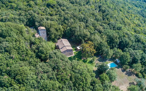 Villa Linchiano: Albero, Ambiente Naturale, Natura, Vegetazione, Foresta, Comunita 'Impianto, Area Rurale, Giungla, Estate