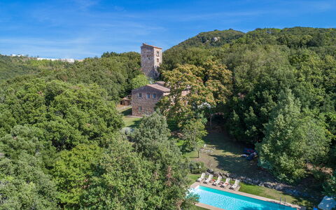 Villa Linchiano: Paesaggio, Area Rurale, Estate, Giardino, Piantagione, Eco Hotel, Hacienda, Castello