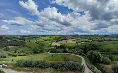 Ely Apartment In Villa, Wifi, Terricciola, Pisa: Cielo, Nube, Paesaggio Naturale, Pascolo, Orizzonte, Plain, Ecoregione, Paesaggio, Campo, Lotto