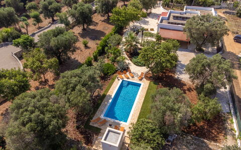 Villa San Vito: Albero, Paesaggio, Estate, Landscaping, Hacienda, Piscina, Piantagione, Fotografia Aerea, Villa