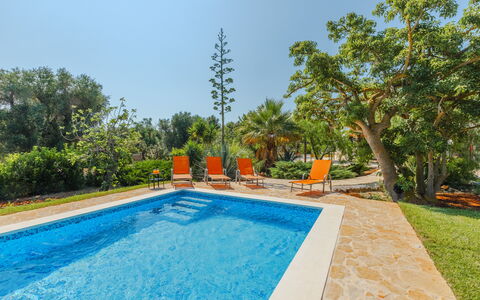 Villa San Vito: Blu, Piscina, Ricorrere, Giardino, Eco Hotel, Tempo Libero, Landscaping, Shade, Mobili Da Esterno, Giochi D'Acqua