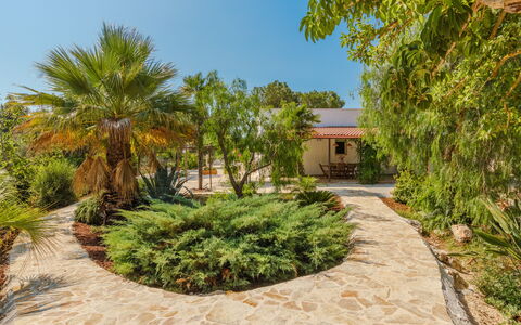 Villa San Vito: Arbusto, Giardino, Landscaping, Woody Impianto, Shade, Hacienda, Driveway, Estate, Flagstone